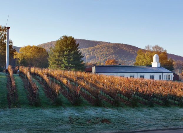 A new age for Virginia wines