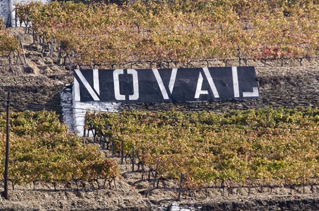 Quinta do Noval joins list of 2015 Port declarations