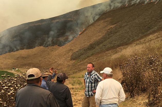 California: How Central Coast Alamo fire scorched vineyard