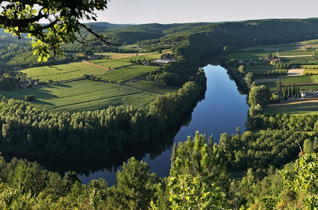 Malbec pioneer goes back to the future with Cahors vineyard deal