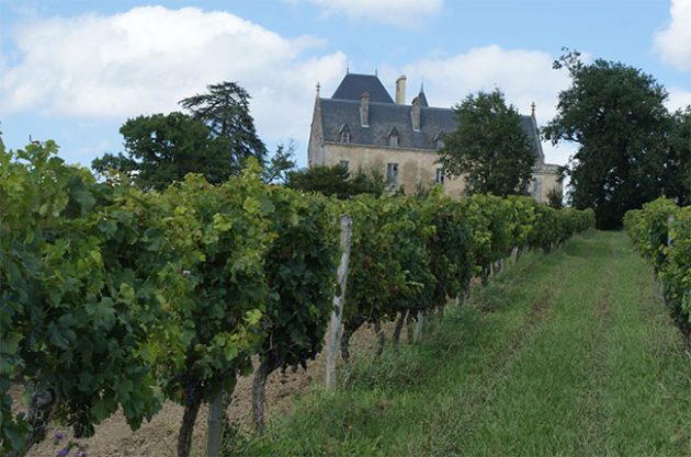 Château Fauchey in Cadillac Côtes de Bordeaux.