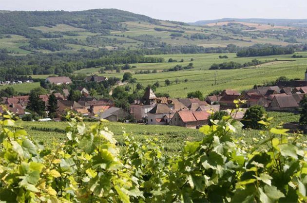 Louis Jadot buys historic Burgundy estate Prieur-Brunet