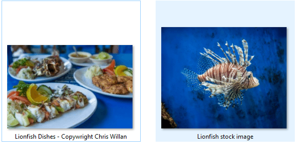Saint Lucia wants tourists to eat Lionfish and save the reef