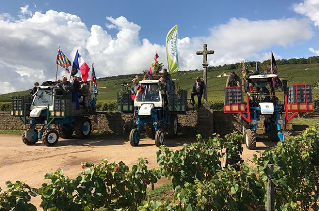 Burgundy 2017: When Côte d’Or prayers were answered?