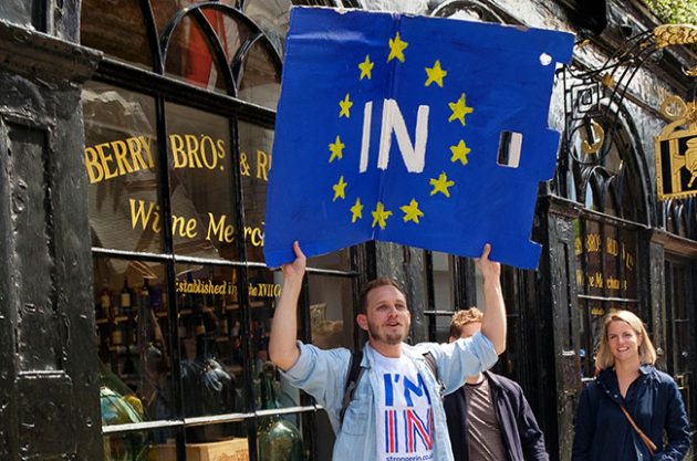 brexit protester, brexit hangover