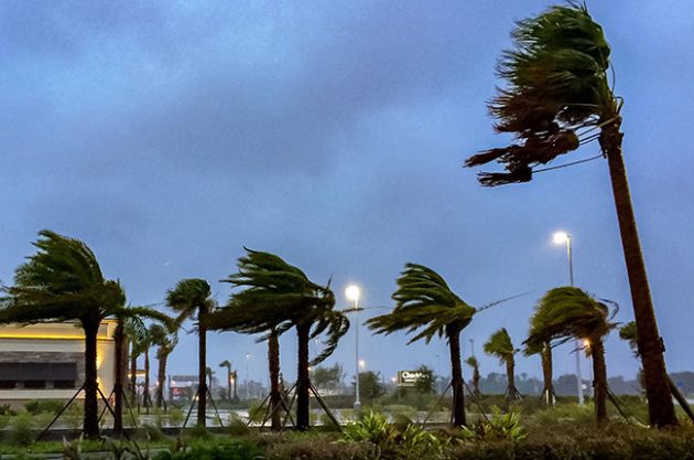 Hurricane Irma: Rapid response team ‘rescues’ fine wines