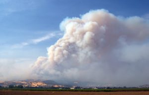 California Wine Country has not burned down