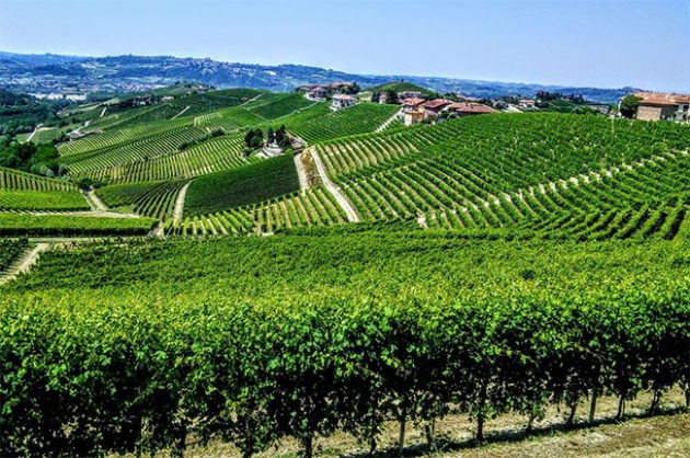 Jefford on Monday: Barbaresco – myth and reality