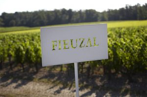 No Château de Fieuzal 2017 wine due to frost
