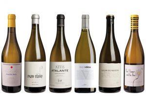 Galician whites: Panel tasting results