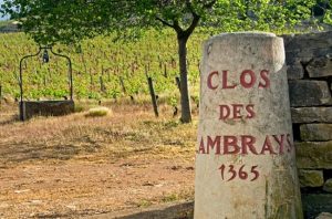 Comment: ‘Era of billionaire ownership in Burgundy has begun’