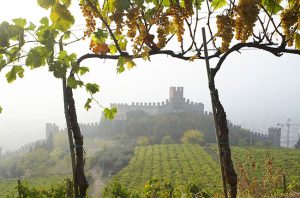 Soave wine pioneer Leonildo ‘Nino’ Pieropan dies