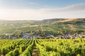 Jefford on Monday: The taste of spring