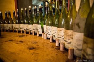 Jefford on Monday: The liquid novel – white Mas de Daumas Gassac