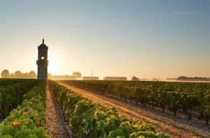 Bordeaux 2017: Haut-Batailley aims high with sharp price rise