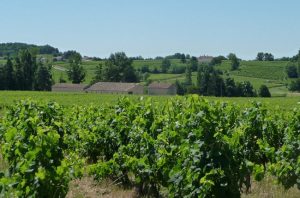 Bordeaux Château Vieux Paquillon sold to mystery Australian buyer