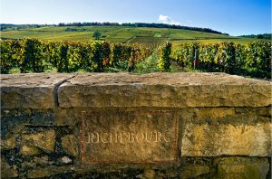 Richebourg grand cru, burgundy vineyard