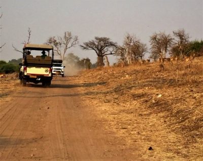 Safari.Botsvāna.4 | eTurboNews | eTN
