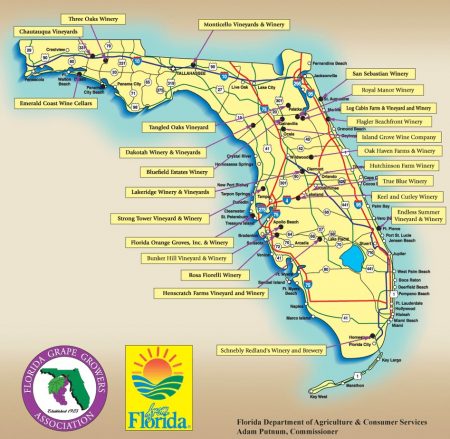 Wine your way to Florida | Wines & Travel News