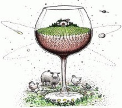 Biodynamic Bordeaux