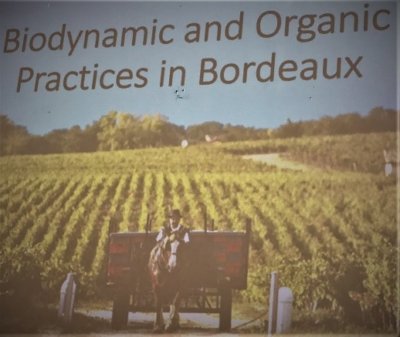Biodynamic Bordeaux