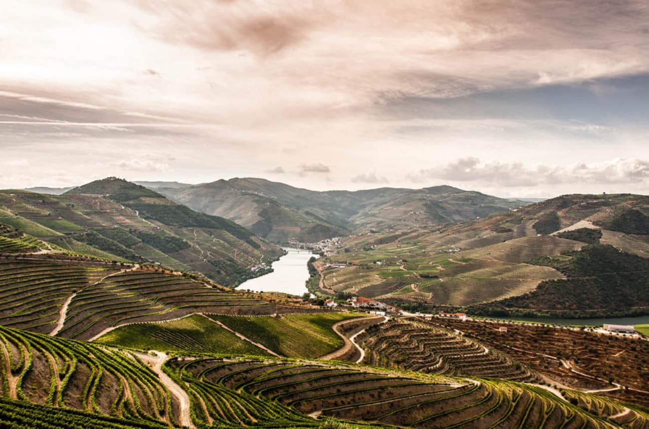Quinta do Noval buys prized vineyards in Douro