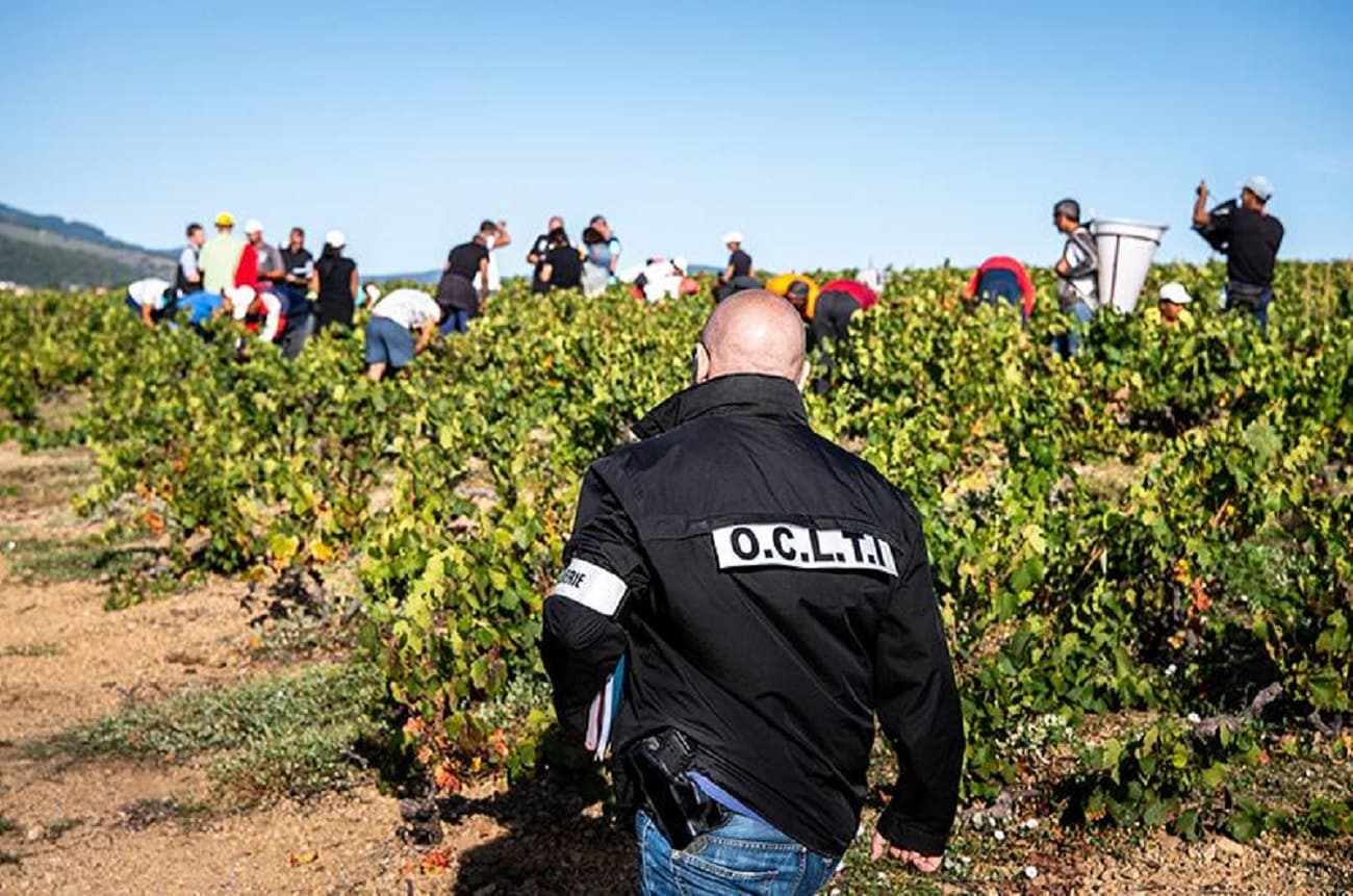French police raid wine harvest trafficking network