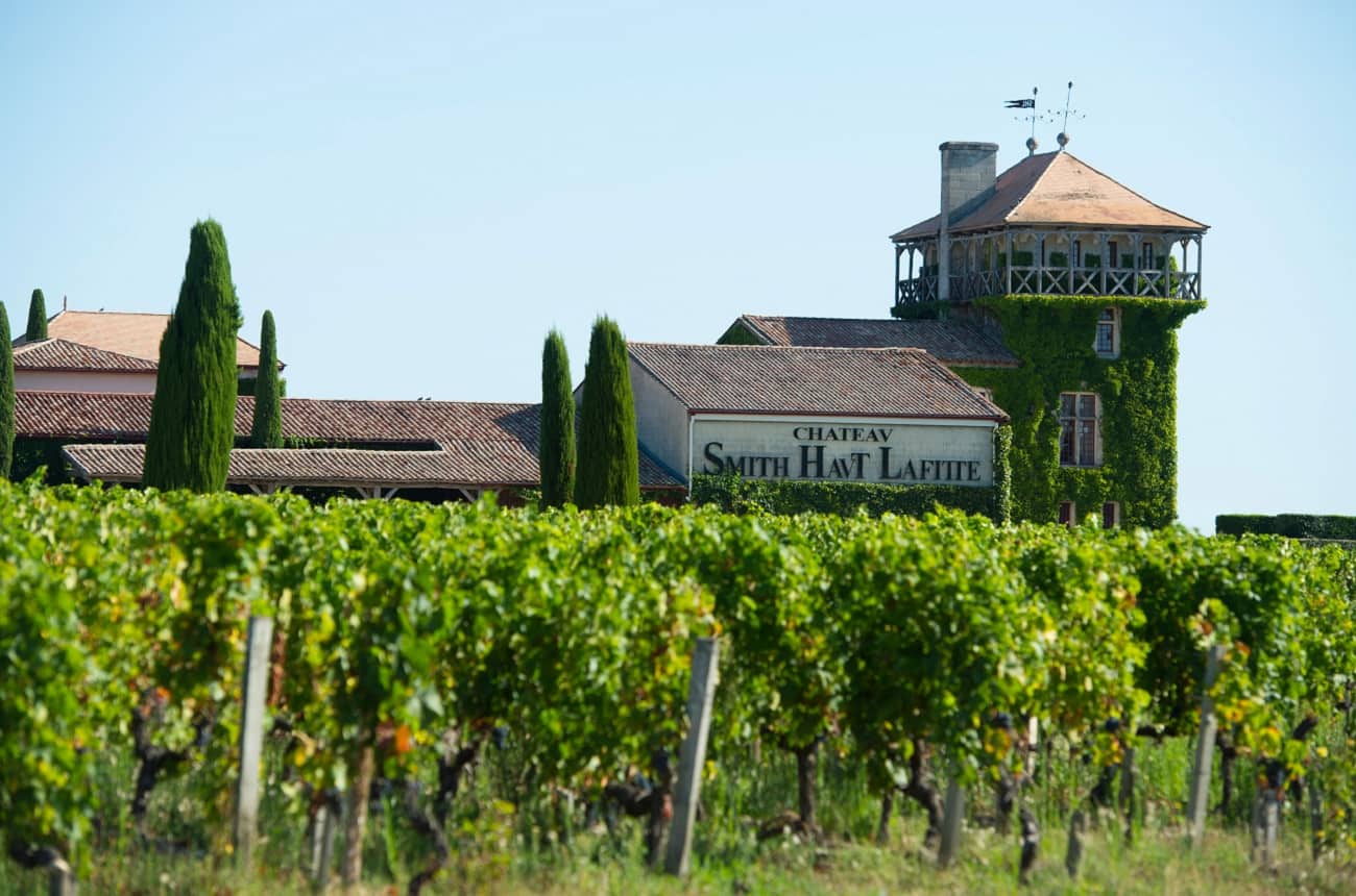 High hopes as Bordeaux 2019 white wine harvest starts