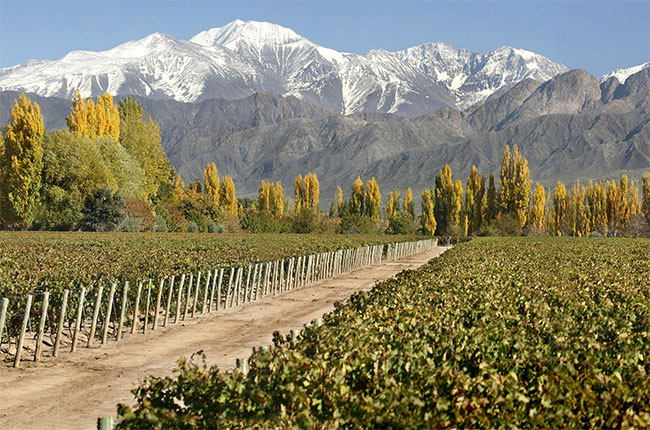 Inside Cheval des Andes – A New World 'grand cru'