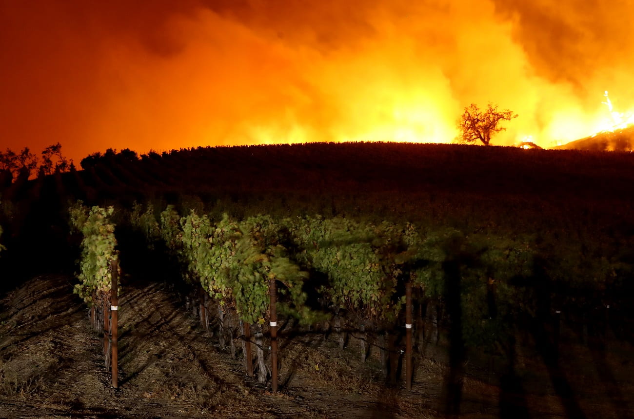 Wineries evacuated as wildfire hits northern Sonoma County