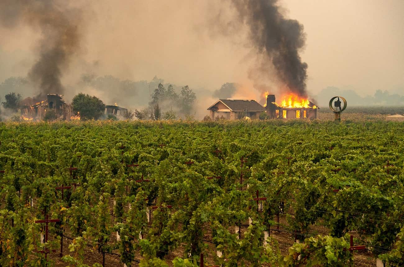 Sonoma wineries fight perceptions as well as wildfires