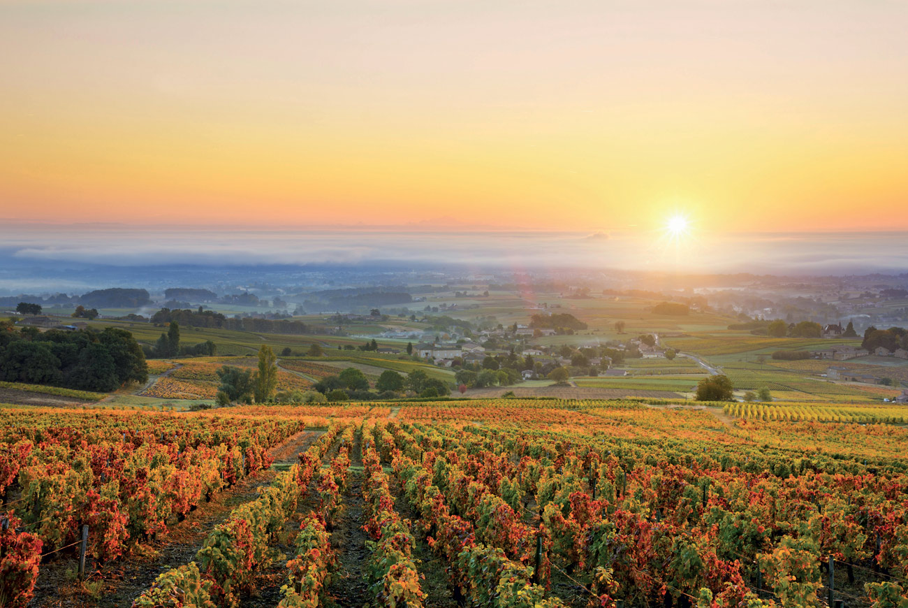 Climate change in Burgundy: Slowing the impact