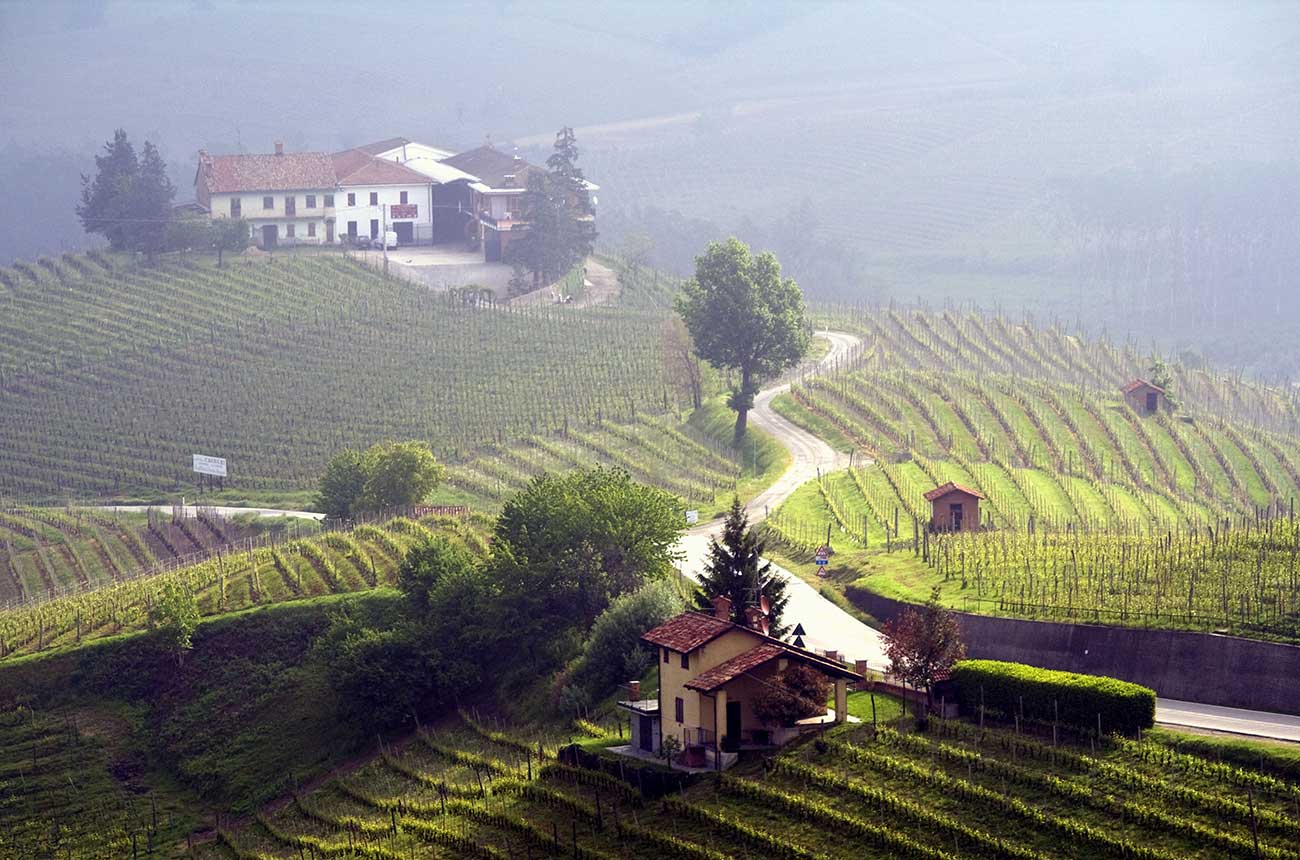 Piedmont is a fine wine region to watch, say analysts