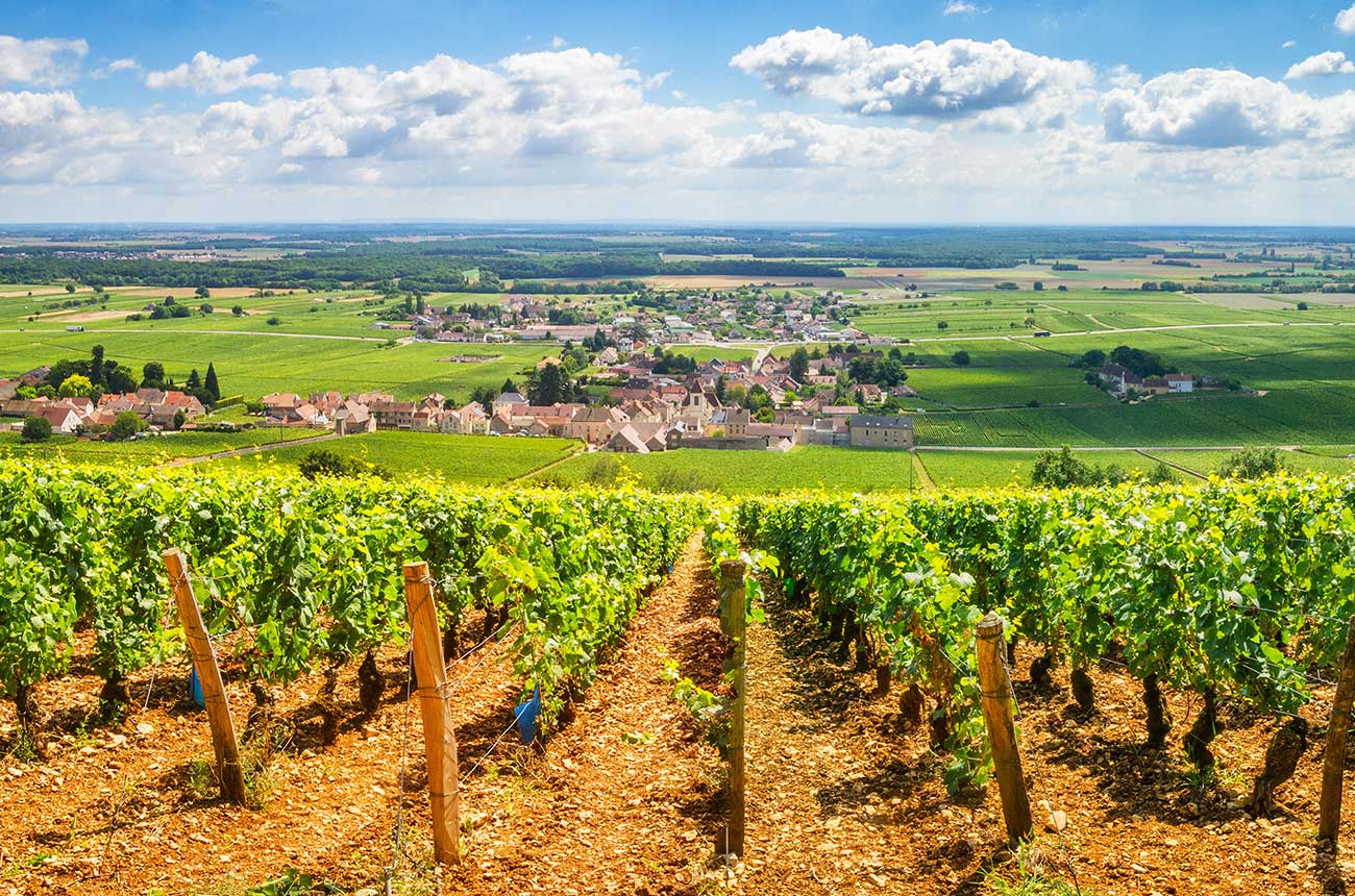 What is the new Bourgogne Côte d’Or 'appellation'?