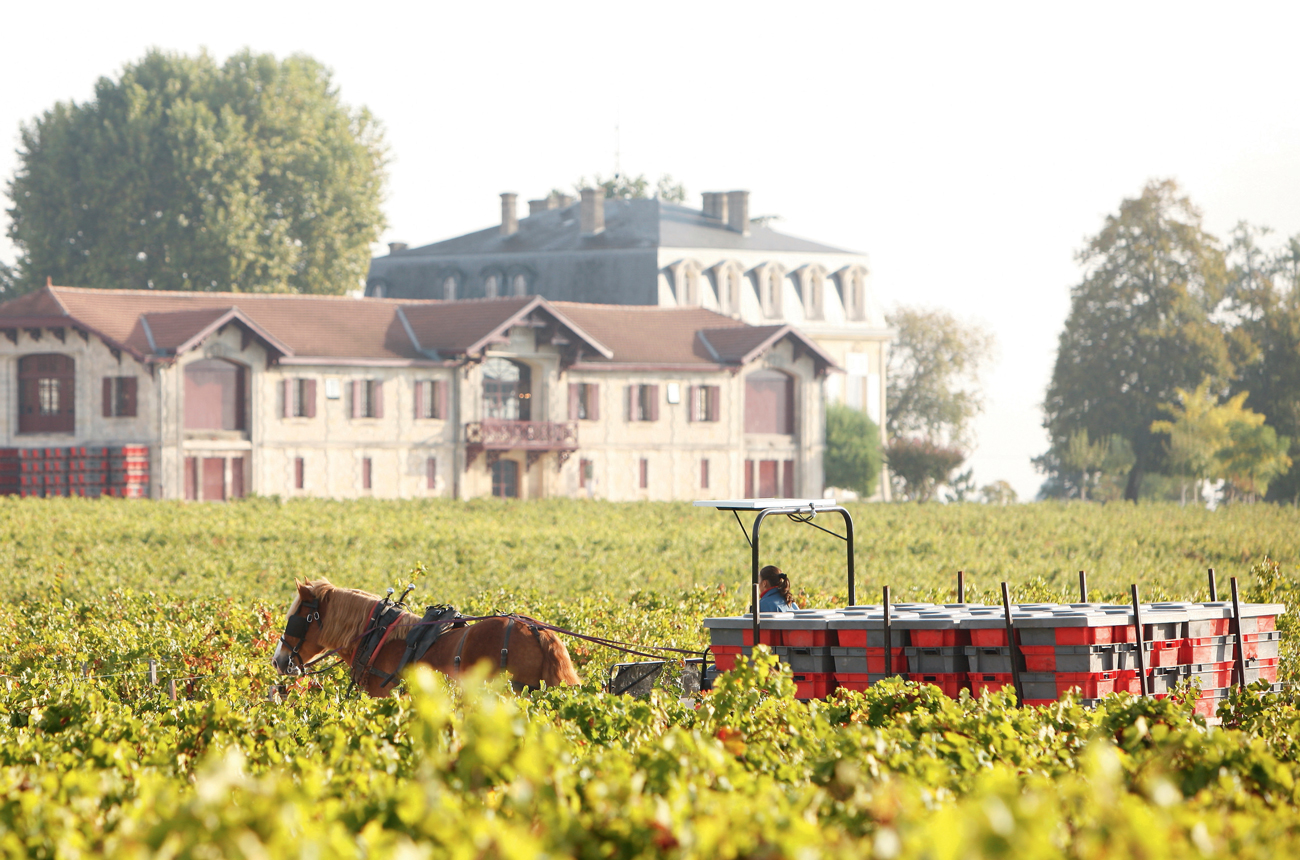 Pontet-Canet director Jean-Michel Comme to leave