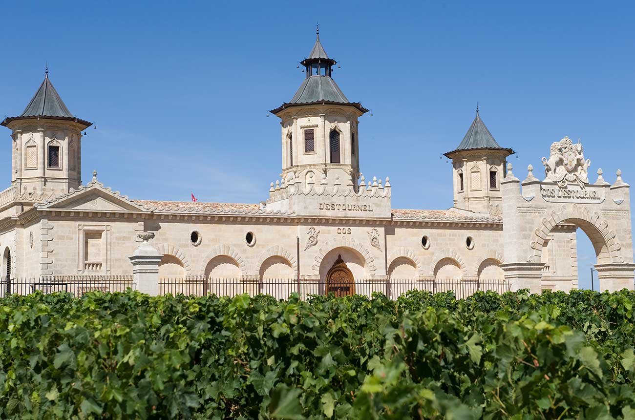 Which Bordeaux 2019 wines sold best en primeur?
