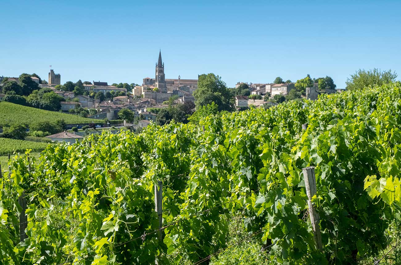 ‘Hobby vineyards’: a new must-have for wealthy Bordeaux wine lovers?