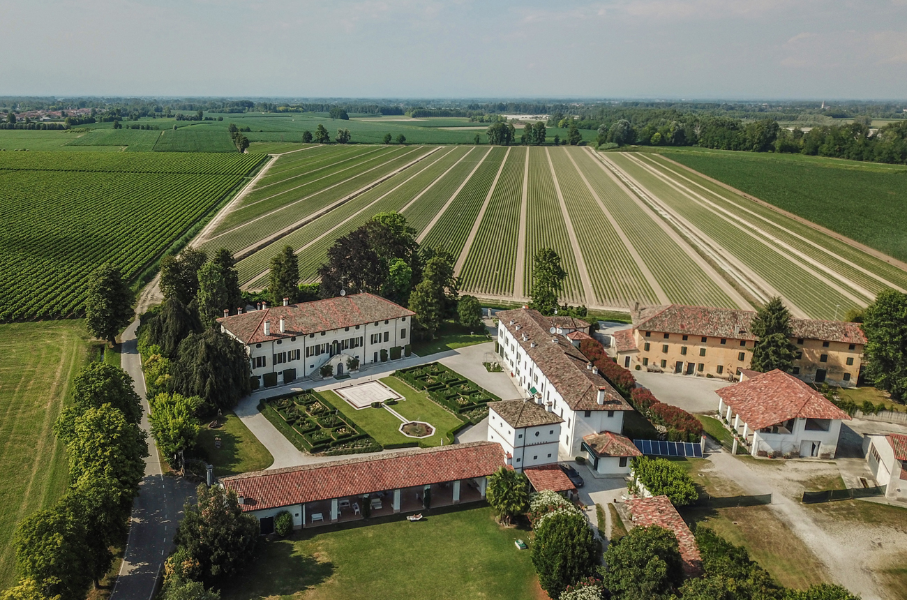 Prosecco property: Stunning vineyard for sale in Italy's north east