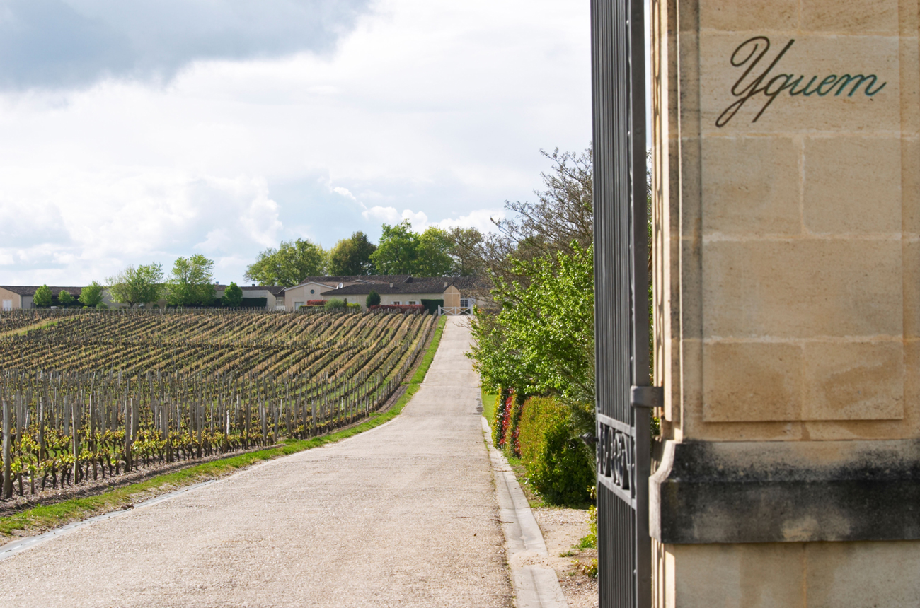 Assessing the September releases plus final 21 wines tasted including Y d’Yquem