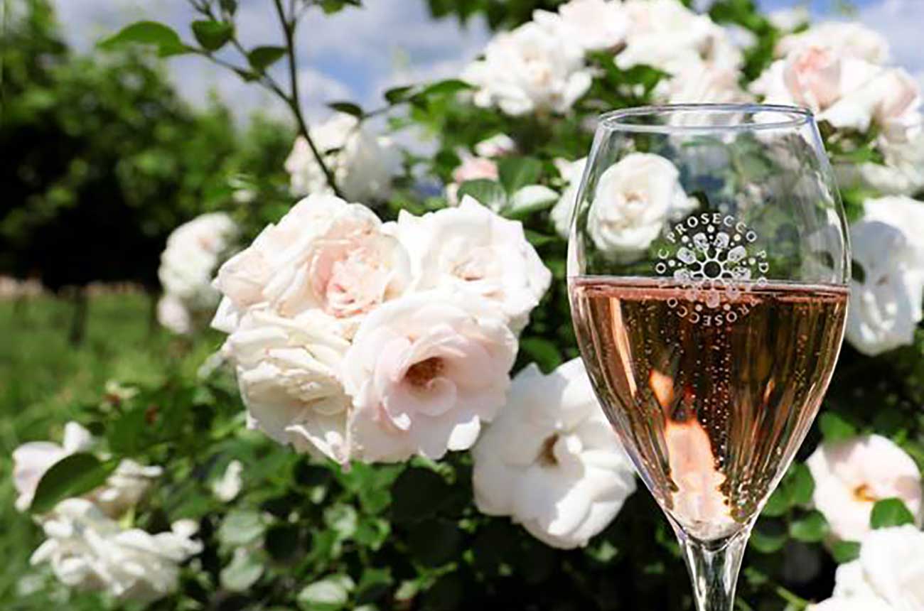 Prosecco rosé wines to make debut in UK and US