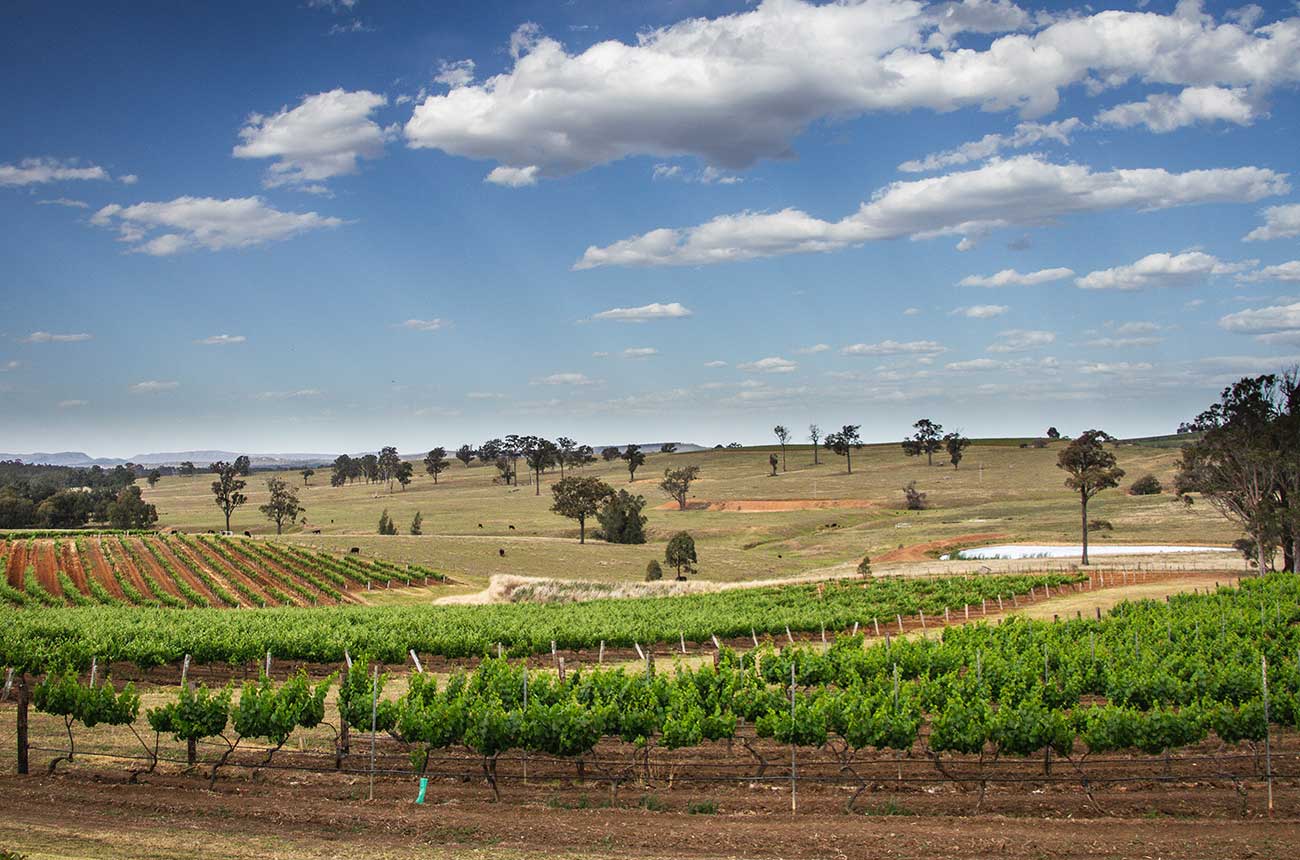 UK Australia trade deal 'will benefit' wine drinkers