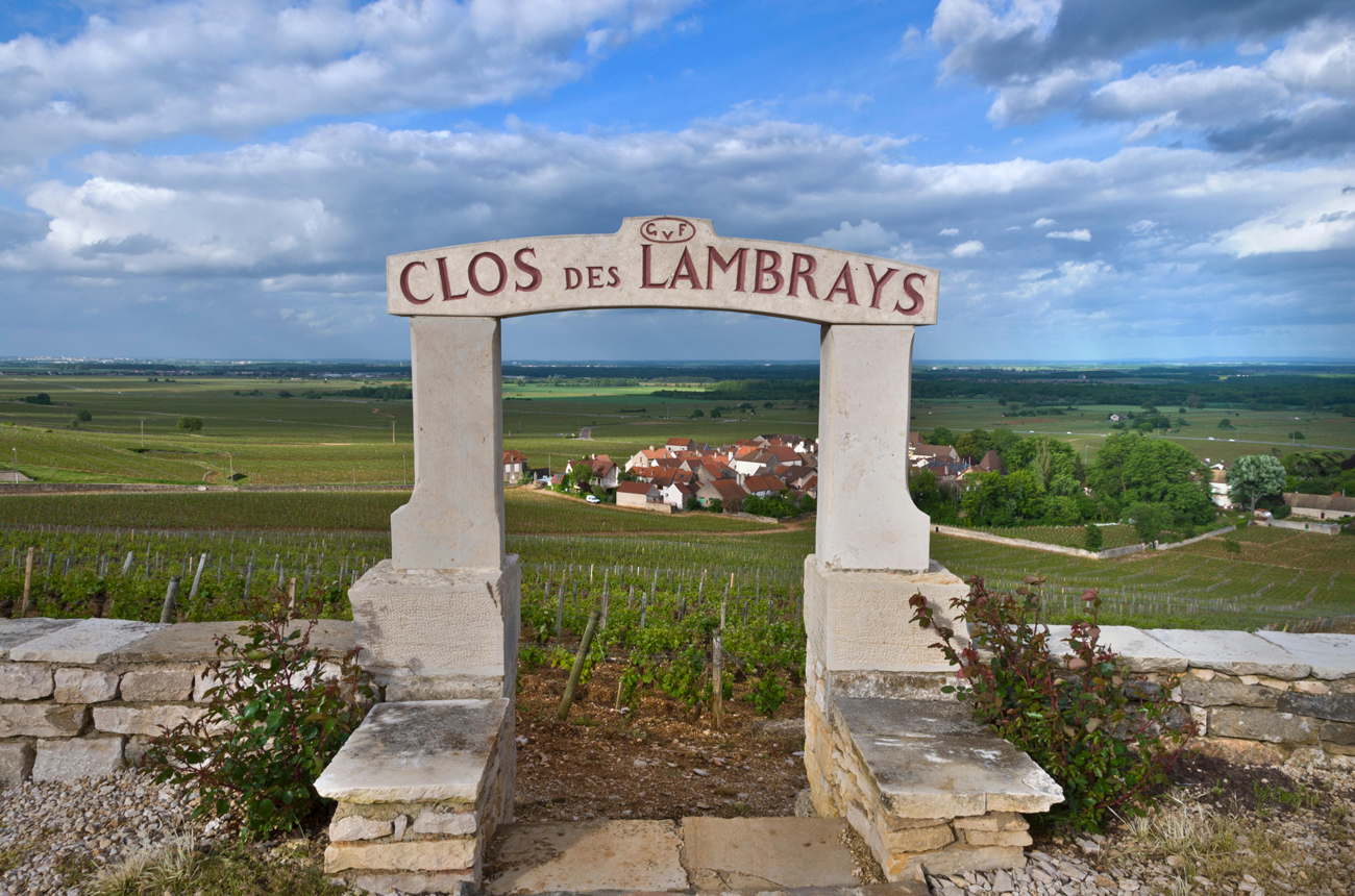 Clos des Lambrays: tasting mature vintages