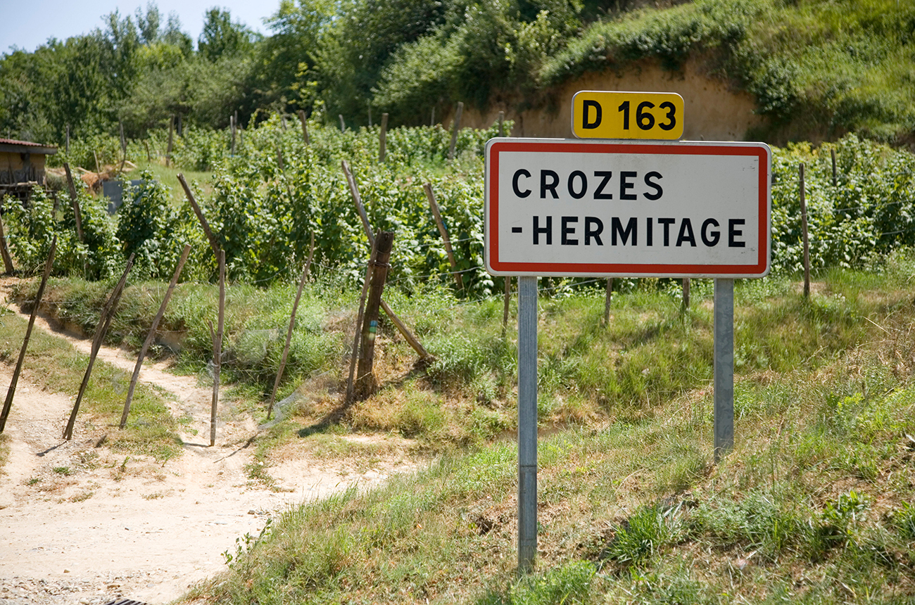 Crozes-Hermitage 2020: report and top-scoring wines