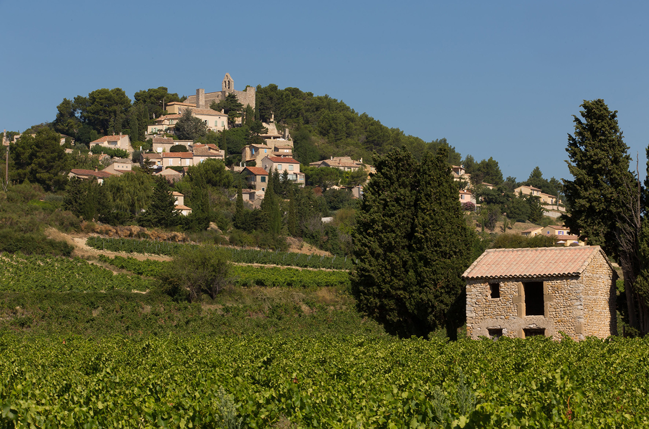 Rasteau, Cairanne & Vinsobres 2020: report and top-scoring wines