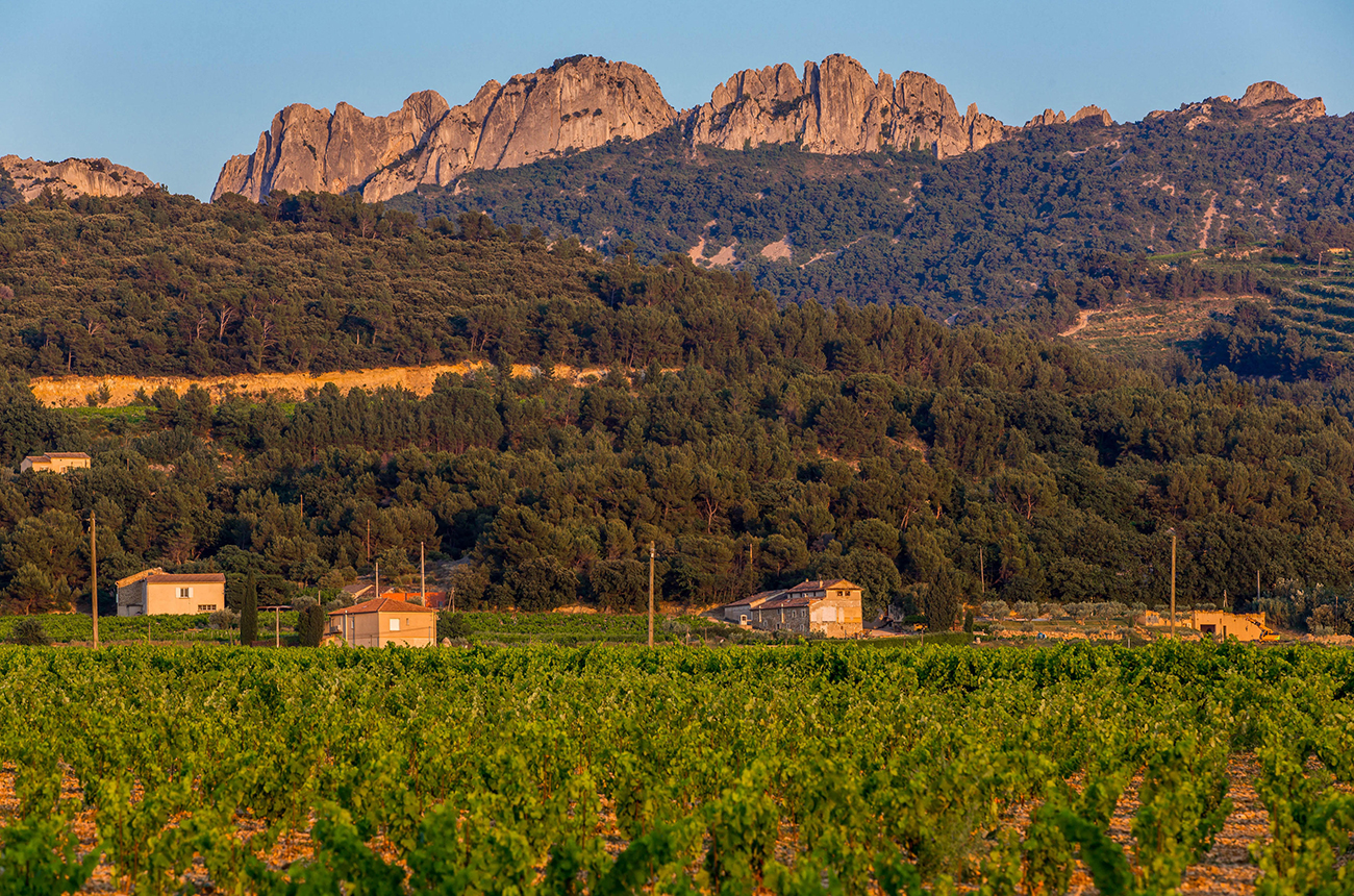 Southern Rhône 2020: full report and top scoring wines
