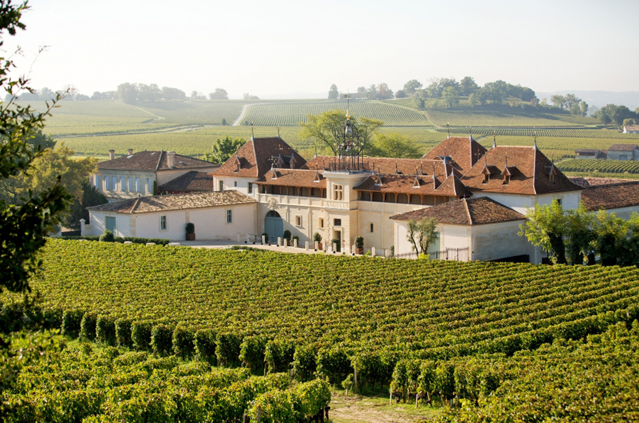 Decanter at Home: Château Angélus masterclass – a philosophy of excellence