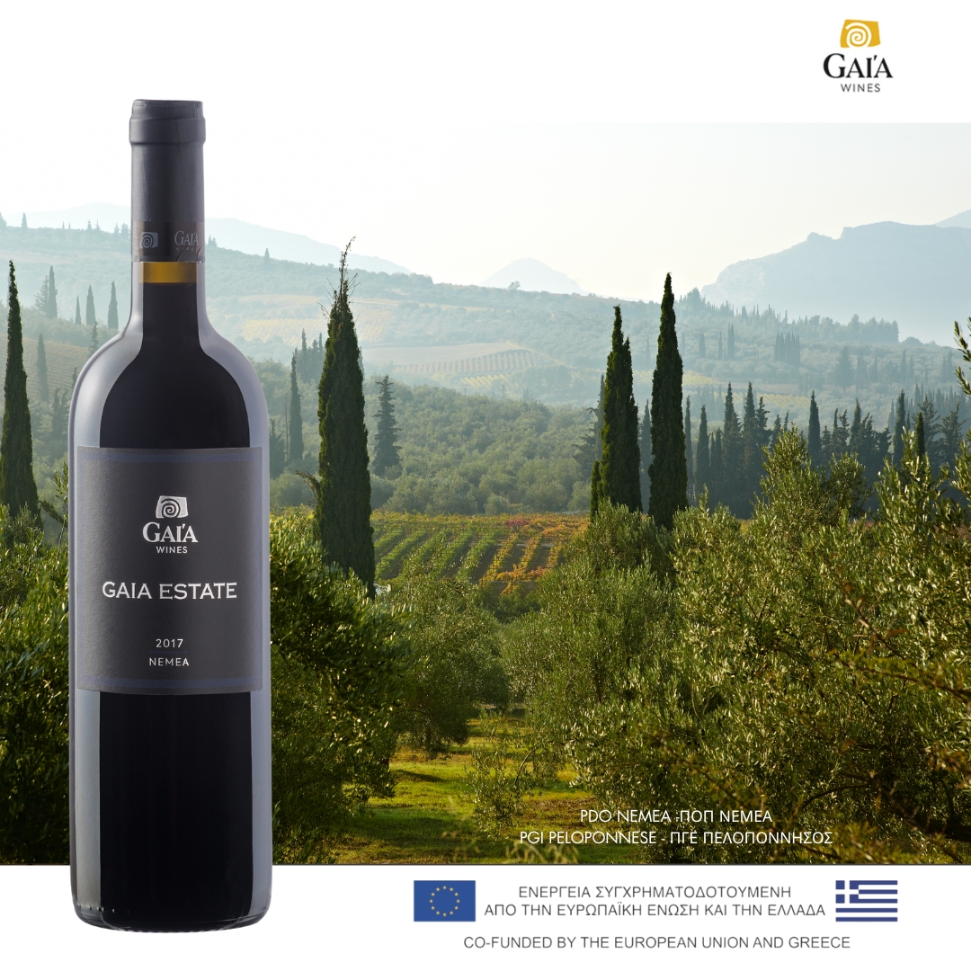 Experience the Richness of Greek Varieties with Gaia Wines