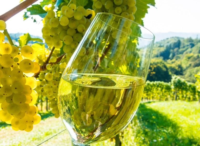 Responsible Wine Tourism UNWTO Event in La Rioja, Spain